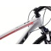 Jalgratas Romet Rambler R7.4 2024 silver-red-graphite-18