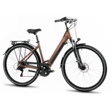 Elektrijalgratas ProEco Wave AN 1.0 R 504Wh brown-black-19