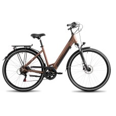Elektrijalgratas ProEco Wave AN 1.0 R 504Wh brown-black-17