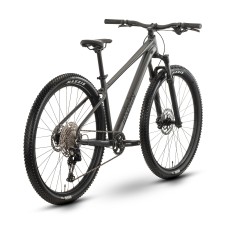 Jalgratas Raymon Nayta Ultra 29