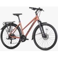 Jalgratas Unibike Flash EQ LDS 2026 brandy-L / 19