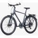 Jalgratas Unibike Explorer GTS 2026 grey-L / 21