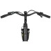 Elektrijalgratas Ecobike LX100 Black V2 504Wh-19