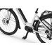 Elektrijalgratas Ecobike LX100 White V2 504Wh-19