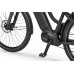 Elektrijalgratas Ecobike LX500 Graphite 960Wh-19