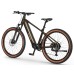 Elektrijalgratas Ecobike SX300 Green V2 900Wh-21