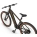 Elektrijalgratas Ecobike SX300 Green V2 900Wh-21