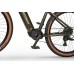 Elektrijalgratas Ecobike SX300 Green V2 900Wh-21
