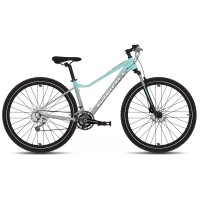 Jalgratas Tabou Blade 29 2 W grey-mint-L