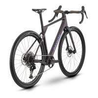 Jalgratas Raymon Soreno Pure 2026 floridplum-XL