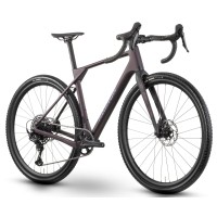 Jalgratas Raymon Soreno Pure 2026 floridplum-XL